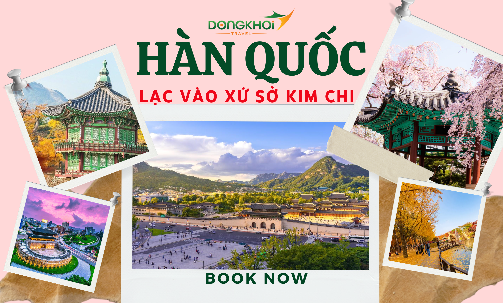 MÙA HOA ANH ĐÀO HÀN QUỐC - SEOUL - NAMI ISLAND - LOTTE WORLD